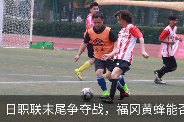 日职联末尾争夺战，福冈黄蜂能否在主场力克千叶市原？