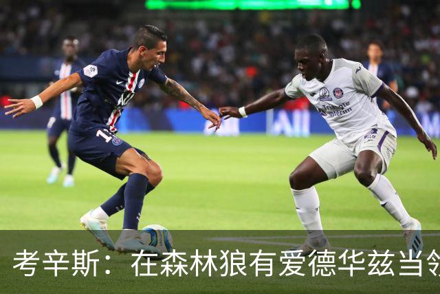 考辛斯：在森林狼有爱德华兹当领袖 三球能得到成长并且更成熟