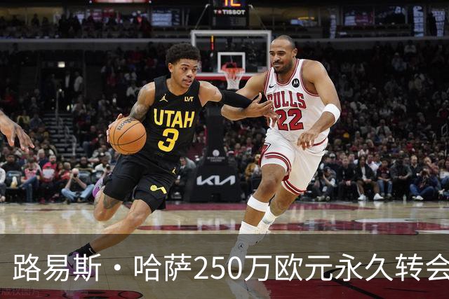 路易斯·哈萨250万欧元永久转会弗罗西诺内